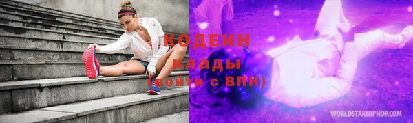 индика Бежецк