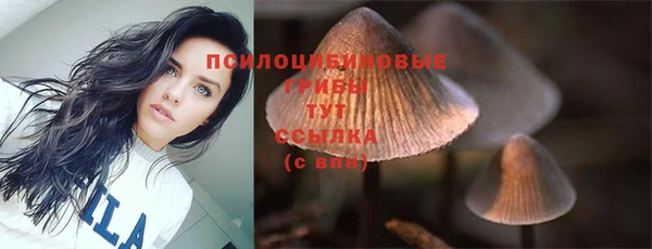 спиды Медногорск