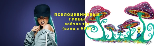 спиды Медногорск