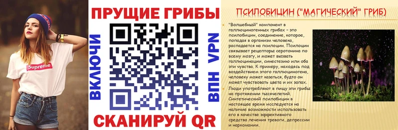 Псилоцибиновые грибы Psilocybe Новотитаровская